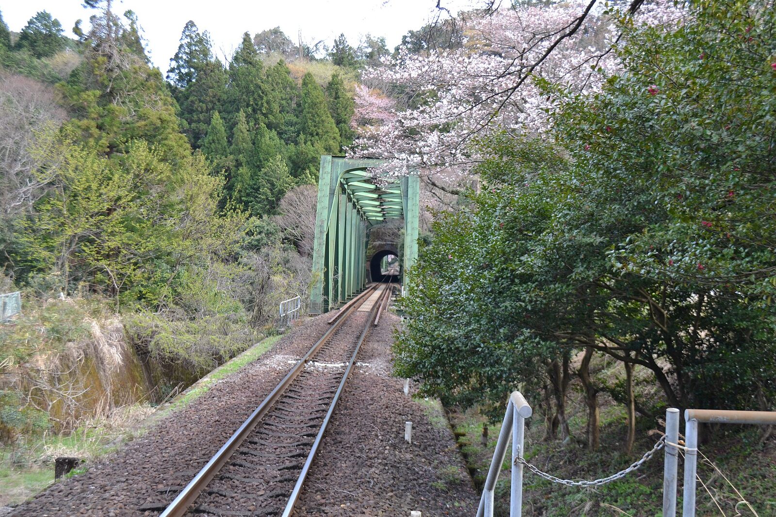 10月30日 本巣市 樽見鉄道の薬草列車 4,700円・本巣駅12:46発・29日は募集終了